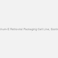 Platinum-E Retroviral Packaging Cell Line, Ecotropic